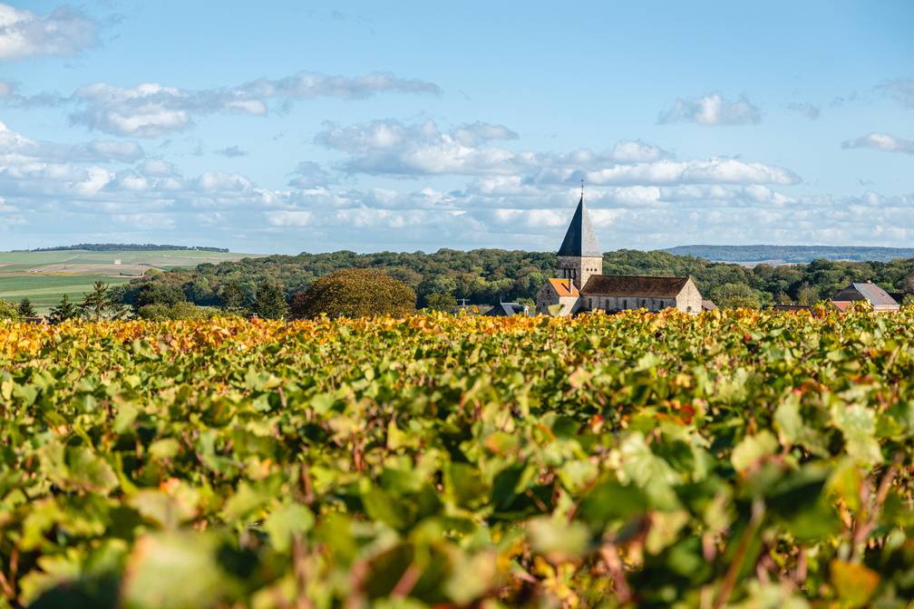 Carte AOC Champagne