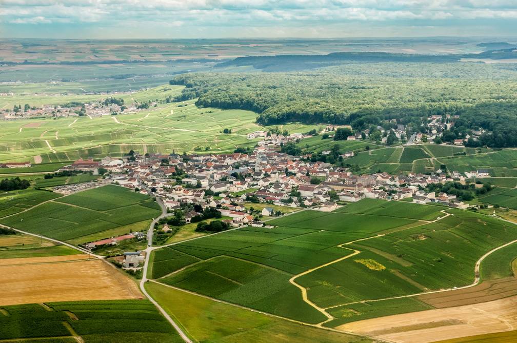 Vignoble Avize