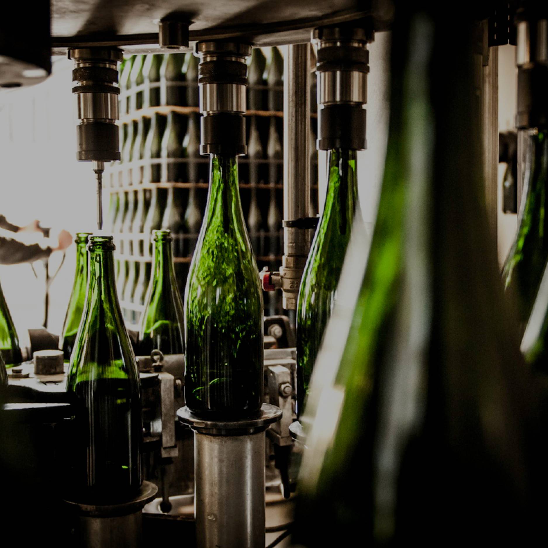 Vinification du Champagne