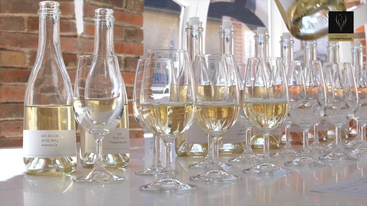 Assemblage Champagne