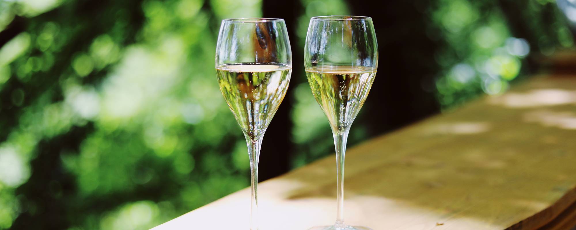 Dégustation Champagne