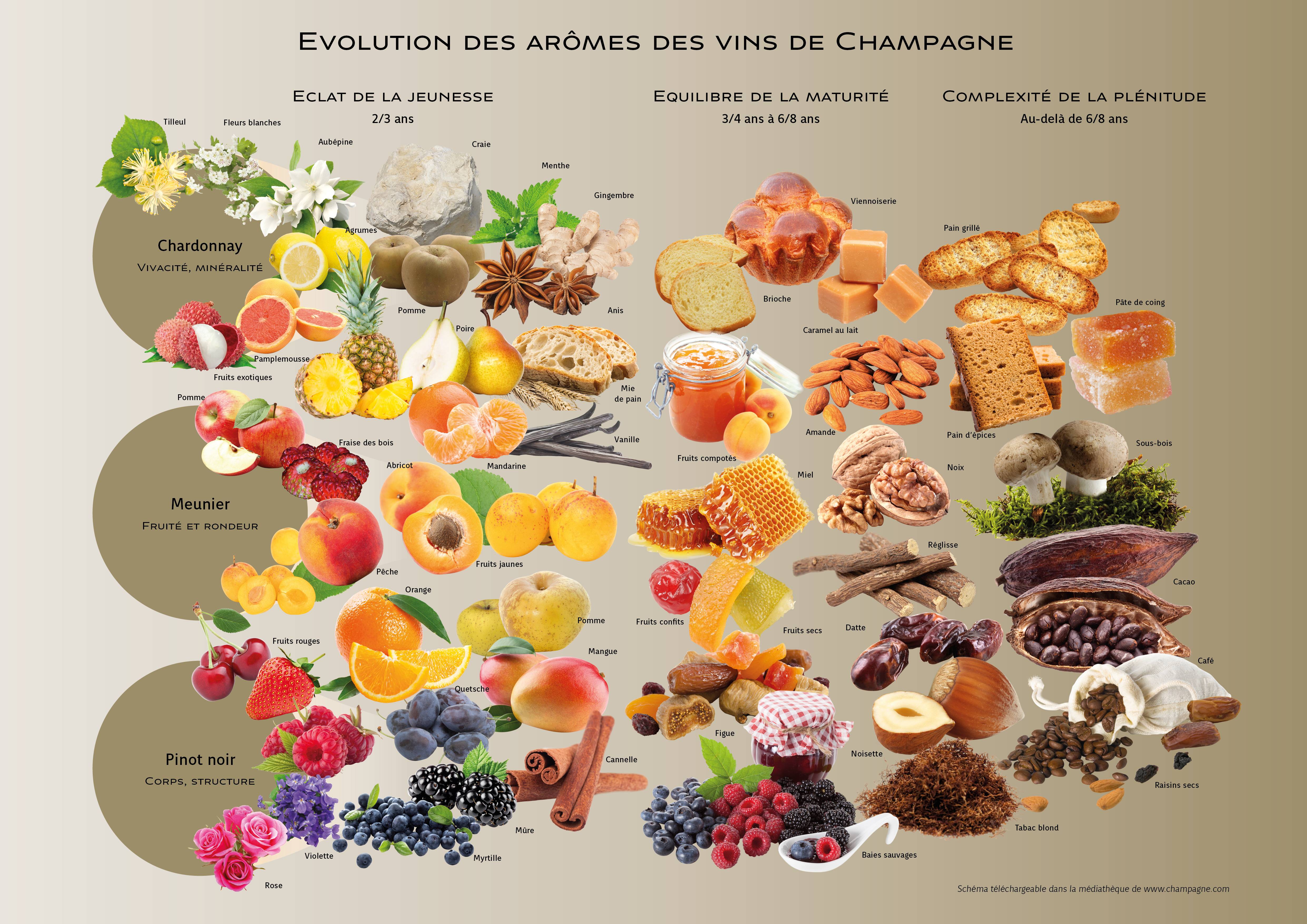 Carte Arômes Champagne
